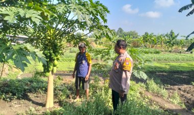 Bhabinkamtibmas-Desa-Jiken-Dukung-Ketahanan-Pangan-Lewat-Pendataan-Kendala-Lahan-Pekarangan